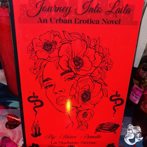 Journey Into Laila: An Urban Erotica Tale